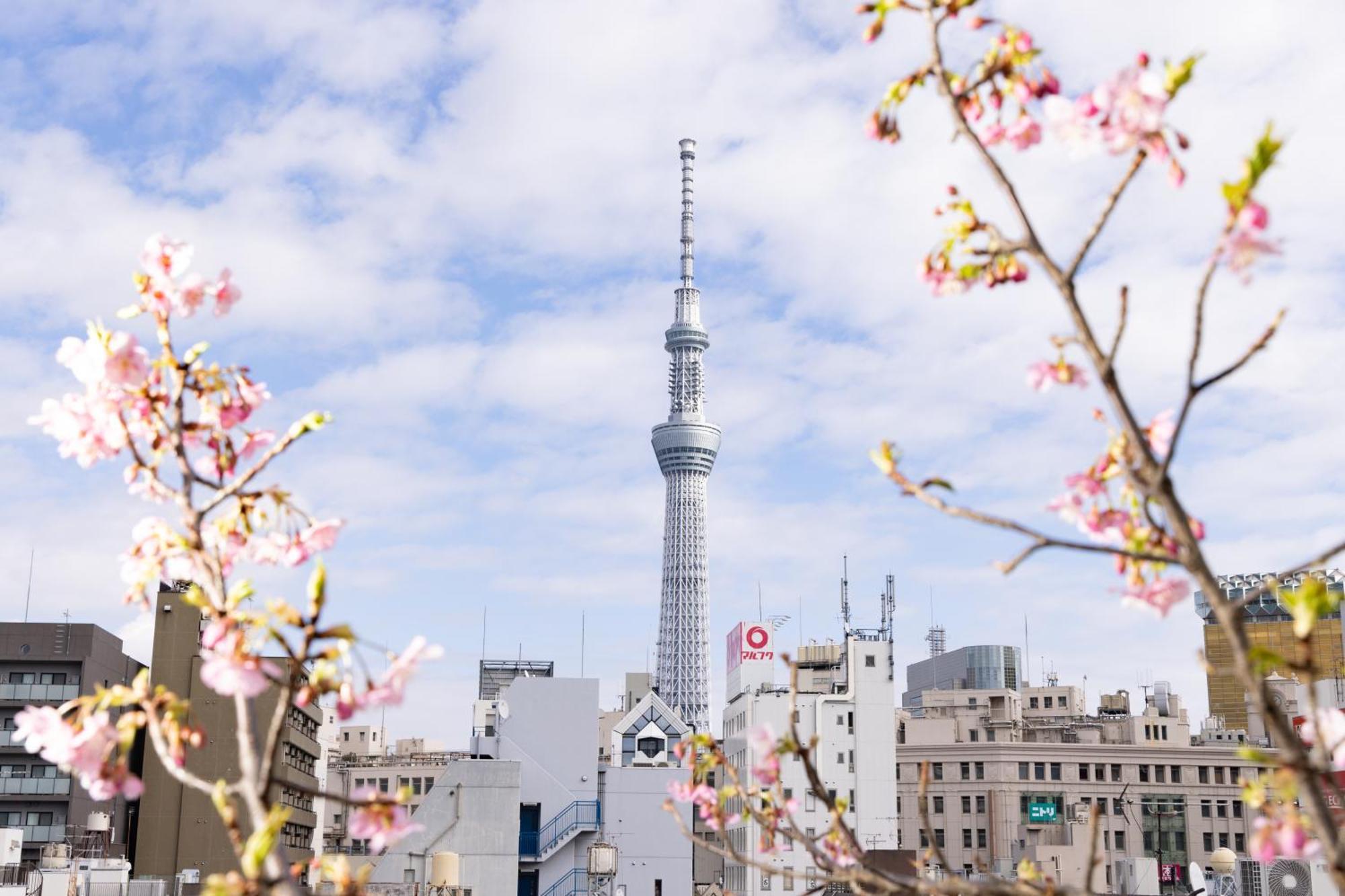 ホテル 旅館浅草指月 東京都 エクステリア 写真