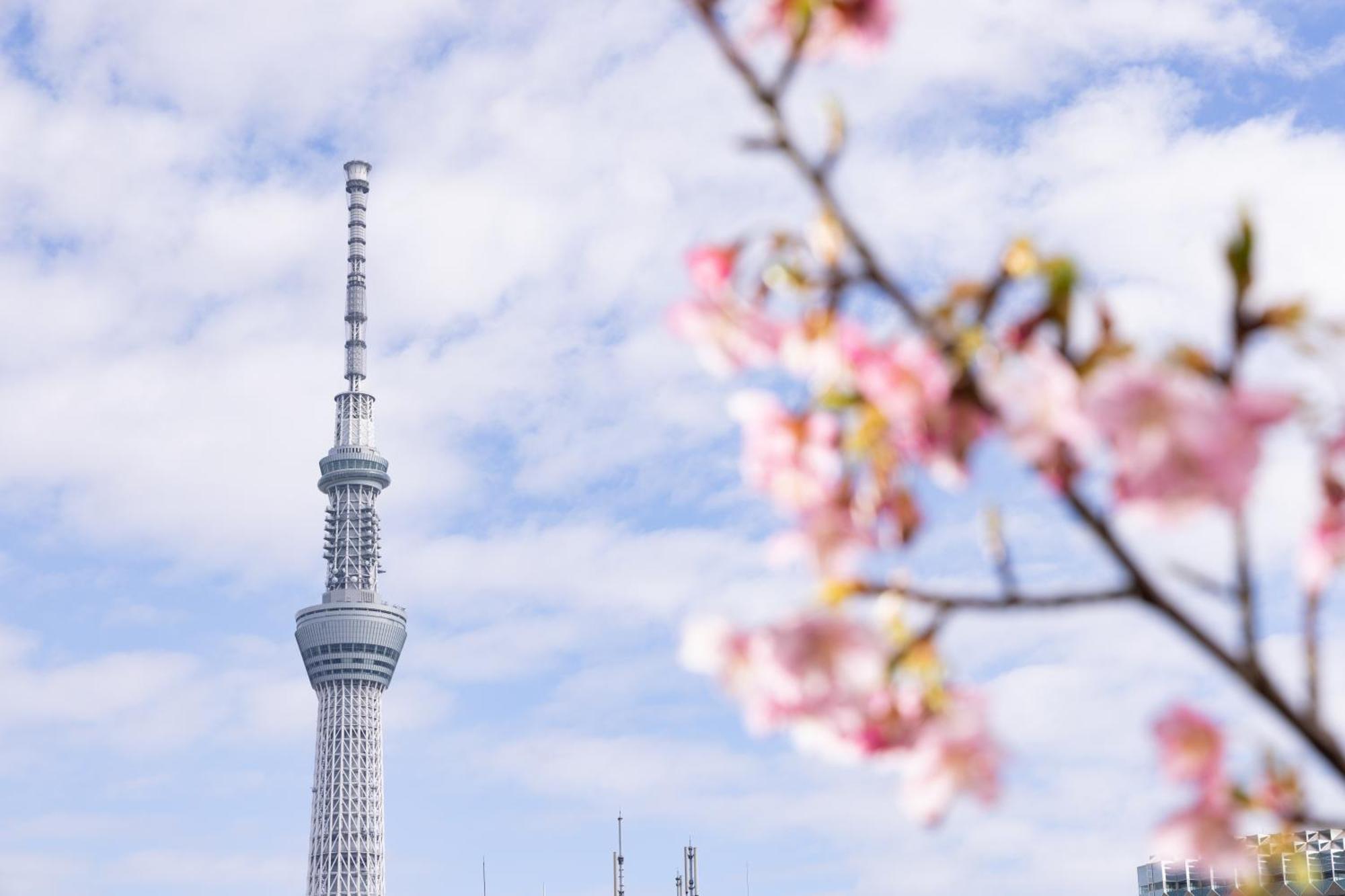 ホテル 旅館浅草指月 東京都 エクステリア 写真