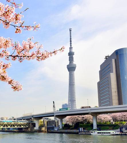 ホテル 旅館浅草指月 東京都 エクステリア 写真